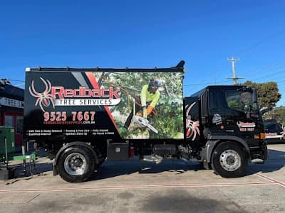 Redback Tree Services Bayside project 3