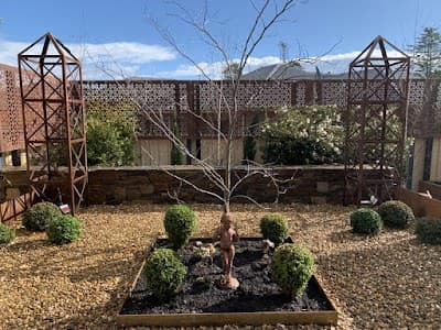 Redwood Landscapes project 3