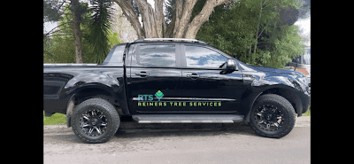 Reiners Tree Services Bentleigh project 1