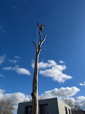 Richmond Tree Specialists cover