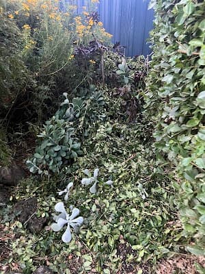 RJT Lawn and Gardening cover