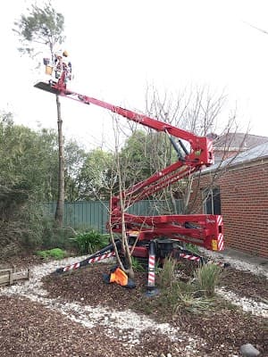 RML Access Tree & Hedge Services cover