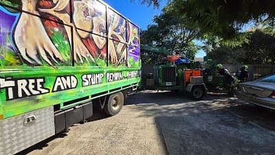 ROCKY'S TREE AND STUMP REMOVAL cover