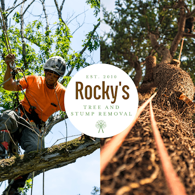 ROCKY'S TREE AND STUMP REMOVAL project 1
