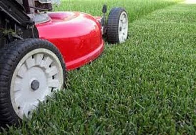 Roland Larche Gardening & Maintenance project 3