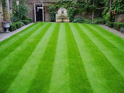Roland Larche Gardening & Maintenance