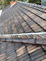 Ross the Roofer