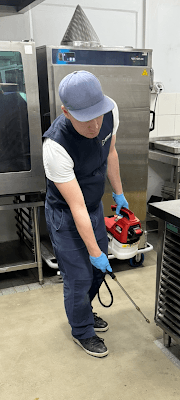 Rossy Pest Services project 3