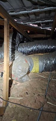 Routine Pest Control project 3