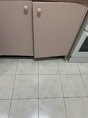 Routine Pest Control cover