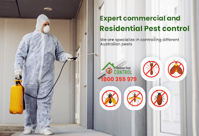 Routine Pest Control project 3
