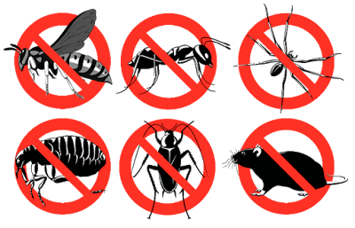 Routine Pest Control project 5
