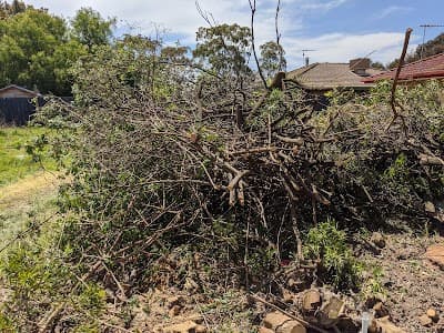 Rubbish Removal Melbourne cover