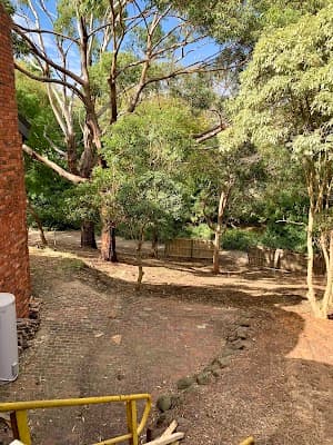 Rutherford Trees project 3