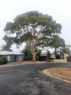 SA Tree Recyclers