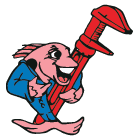 Salmon Plumbing