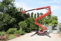 Same Day Tree Works
