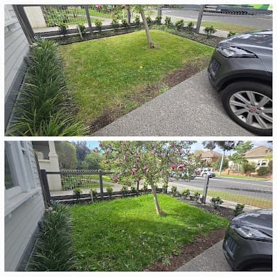 Saxon's lawn and Garden Care project 3