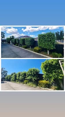 Saxon's lawn and Garden Care project 4