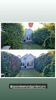 Saxon's lawn and Garden Care project 6