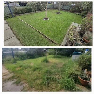 Saxon's lawn and Garden Care project 1