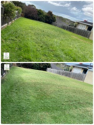 Som's Mowing cover