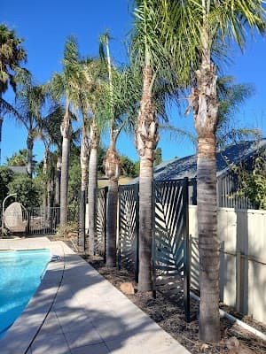 South Coast Tree Services cover