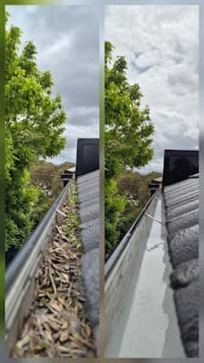 Spotless Gutter Cleaning Bayside project 1