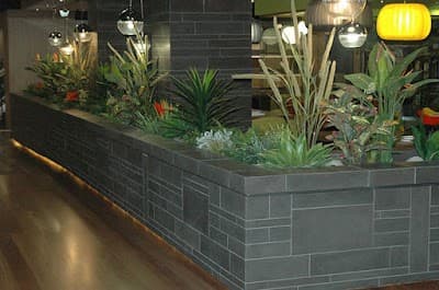 Stone 101 project 6