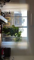Studio Blinds