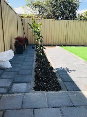 Sunrise Garden and Tree Services cover