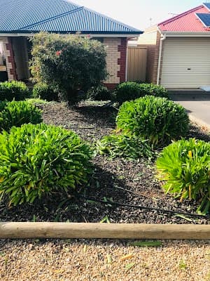 Sunrise Garden and Tree Services project 4