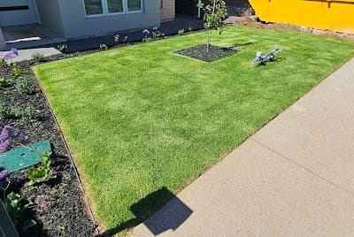 Sunset lawns and landscapes - Lawn mowing Port Noarlunga South cover