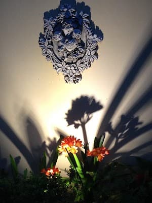 Sunshower Elsternwick cover
