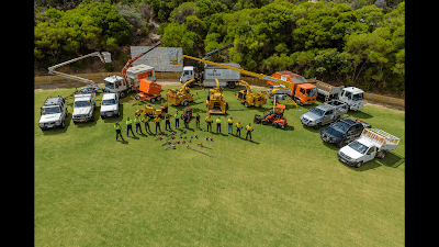 Surfcoast Tree Services project 1