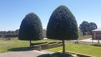Sydney Gardening & Maintenance Pty Ltd cover