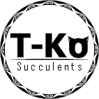 T-Ko Succulents