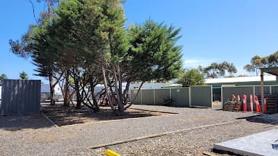 Tailored Tree Care project 4