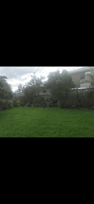 Tentra Mowing and Garden Maintenance project 6