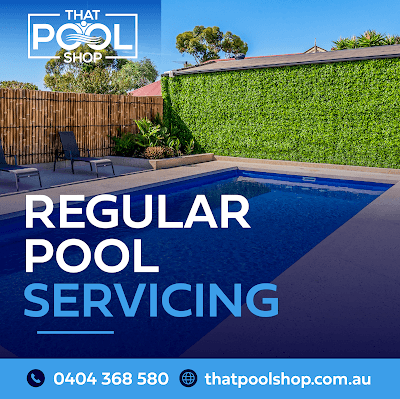 That Pool Shop (Mobile Service) project 4