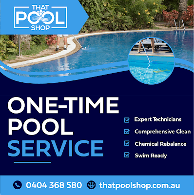 That Pool Shop (Mobile Service) project 5