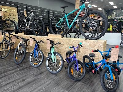 The Bike Shed Mortdale project 5
