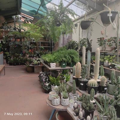 The Garden of Eden Nursery cover