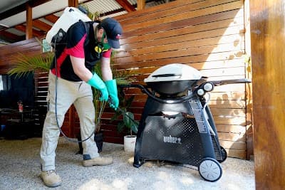 The Local Guys - Pest Control project 3