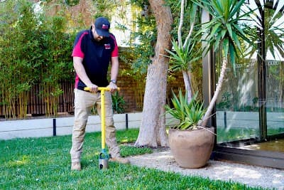 The Local Guys - Pest Control project 4