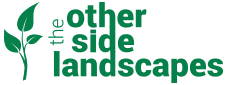 The Other Side Landscapes - Construction and Maintenance of Pools Gardens and Entertaining areas