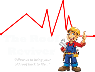 The Roof Reviver