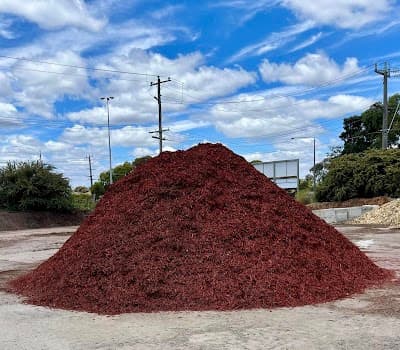 The Soil Yard cover