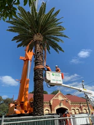 The Tree Company project 3