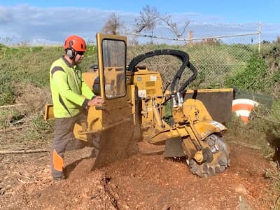 The Tree Company project 4